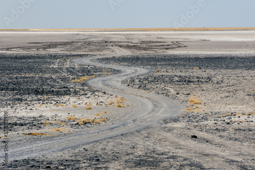 Salt pans are crossed by a 4x4 track that vanishes over the horizon - Nxai Pan National Park  Botswana  Africa