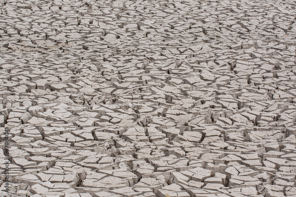 Drought caused the water to completely evaporate and the terrain of the savannah to crack - Kalahari desert, Botswana, Africa Drought caused the water to completely evaporate and the terrain of the savannah to crack - Kalahari desert, Botswana, Africa