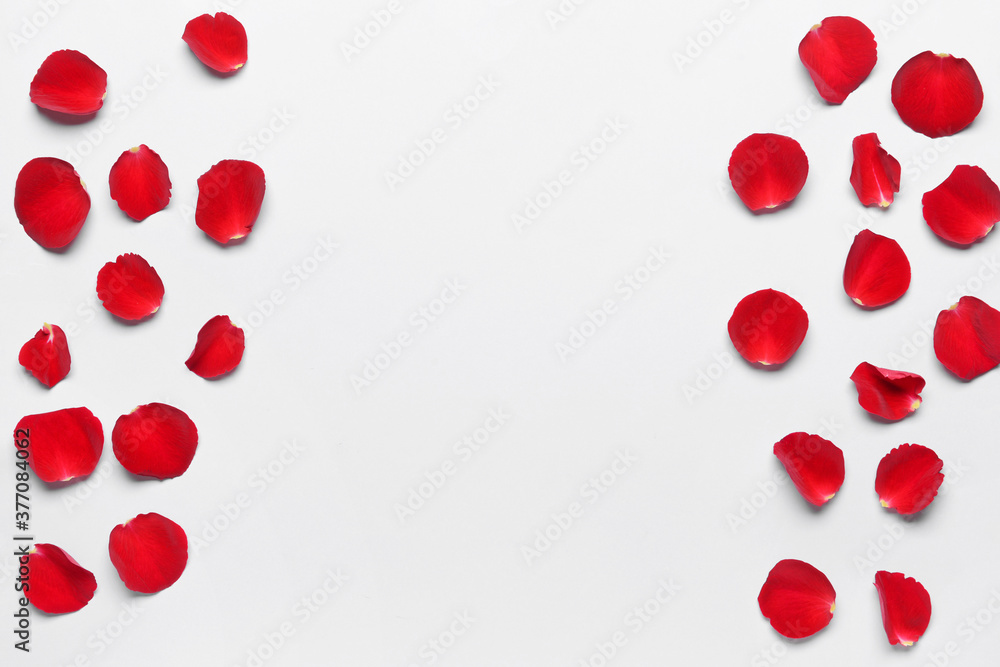 Beautiful rose petals on light background Beautiful rose petals on light background