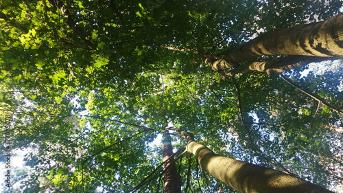 hands on the tree