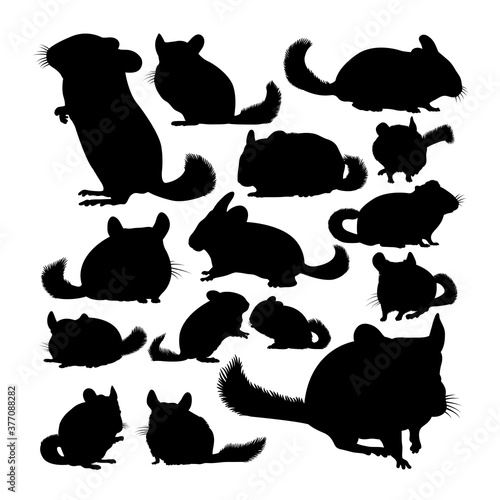Chinchilla animal silhouettes. Good use for symbol, logo, web icon, mascot, sign, or any design you want.