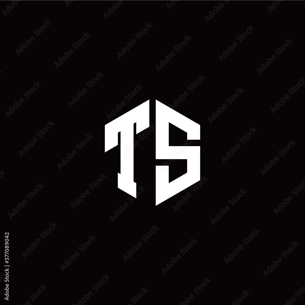 Initial T S letter with polygon modern style logo template vector Initial T S letter with polygon modern style logo template vector
