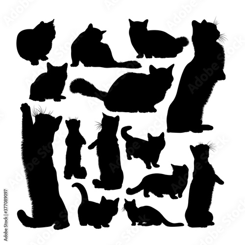 Foto Munchkin cat animal silhouettes
