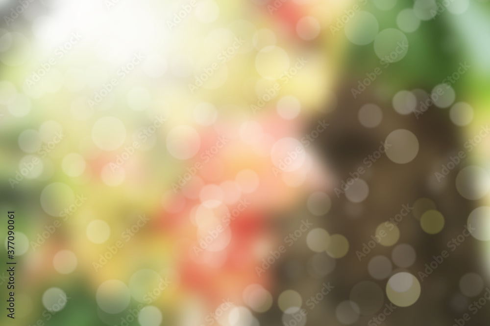 Blur abstract bokeh background with orange flowers. Blur abstract bokeh background with orange flowers.