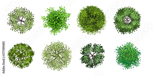 Set of realistic trees. Top view. Different plants and trees vector set for architectural or landscape design. (View from above) Nature green spaces.