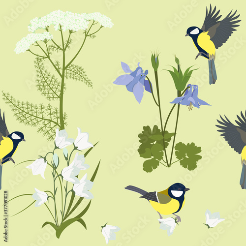 Seamless beautiful vector illustration with wildflowers and titmouse