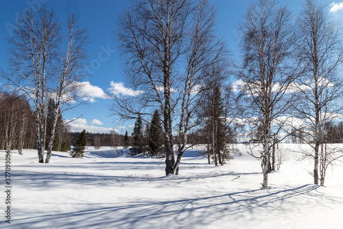 Winter in the mountains