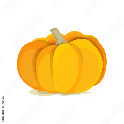Autumn vegetable yellow pumpkin on a white background. Halloween. Vector file.