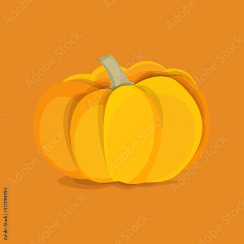 Autumn vegetable yellow pumpkin on a orange background. Halloween. Vector file.