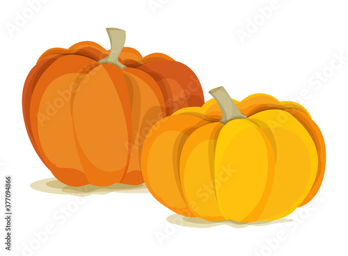 Two large pumpkins on a white background. Yellow and orange. Halloween.