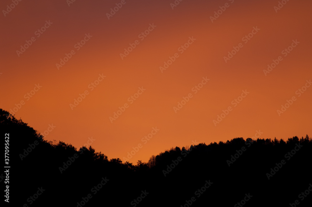 Forest at sunset in the Pyrenees of Huesca. Aragon. Spain. Forest at sunset in the Pyrenees of Huesca. Aragon. Spain.