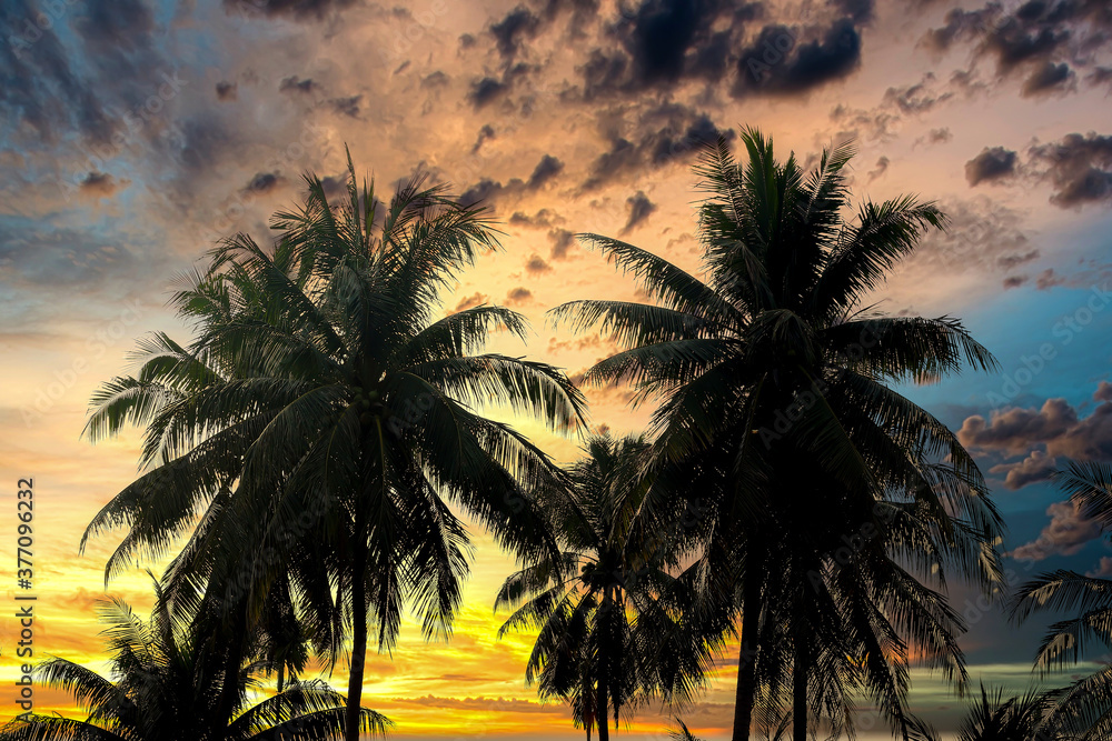 Tropical beach background with palm trees silhouette at sunset