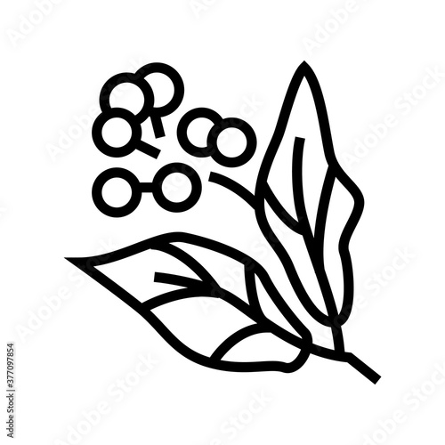 camphor aromatherapy line icon vector. camphor aromatherapy sign. isolated contour symbol black illustration