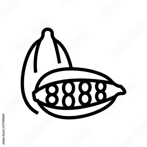 cardamom aromatherapy line icon vector. cardamom aromatherapy sign. isolated contour symbol black illustration