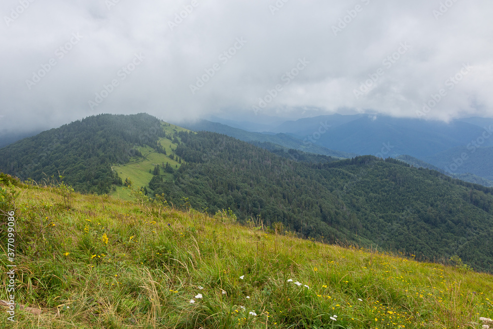 The landscape of the Carpathian mountains covered with forest is shrouded in fog and storm clouds. The landscape of the Carpathian mountains covered with forest is shrouded in fog and storm clouds.