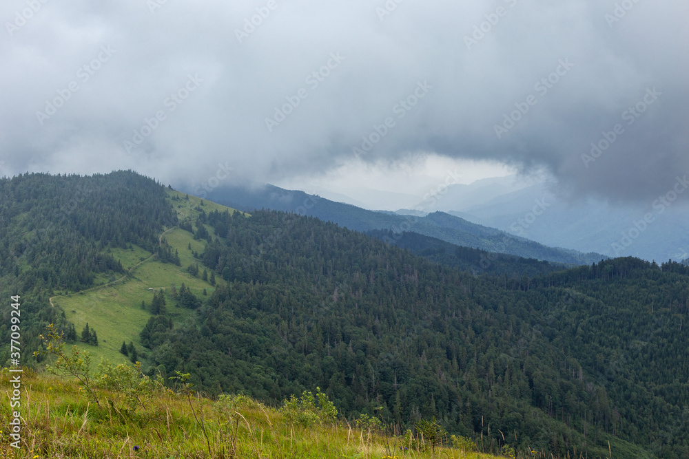 The landscape of the Carpathian mountains covered with forest is shrouded in fog and storm clouds. The landscape of the Carpathian mountains covered with forest is shrouded in fog and storm clouds.