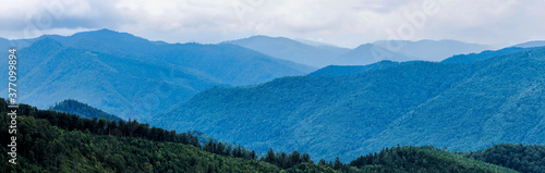 Panorama of the Carpathian mountains covered with forest. Summer aspect, Beskydy region, Ukraine. Landscape of Carpathian Mountains. The Carpathian Mountains are covered with mixed forest.