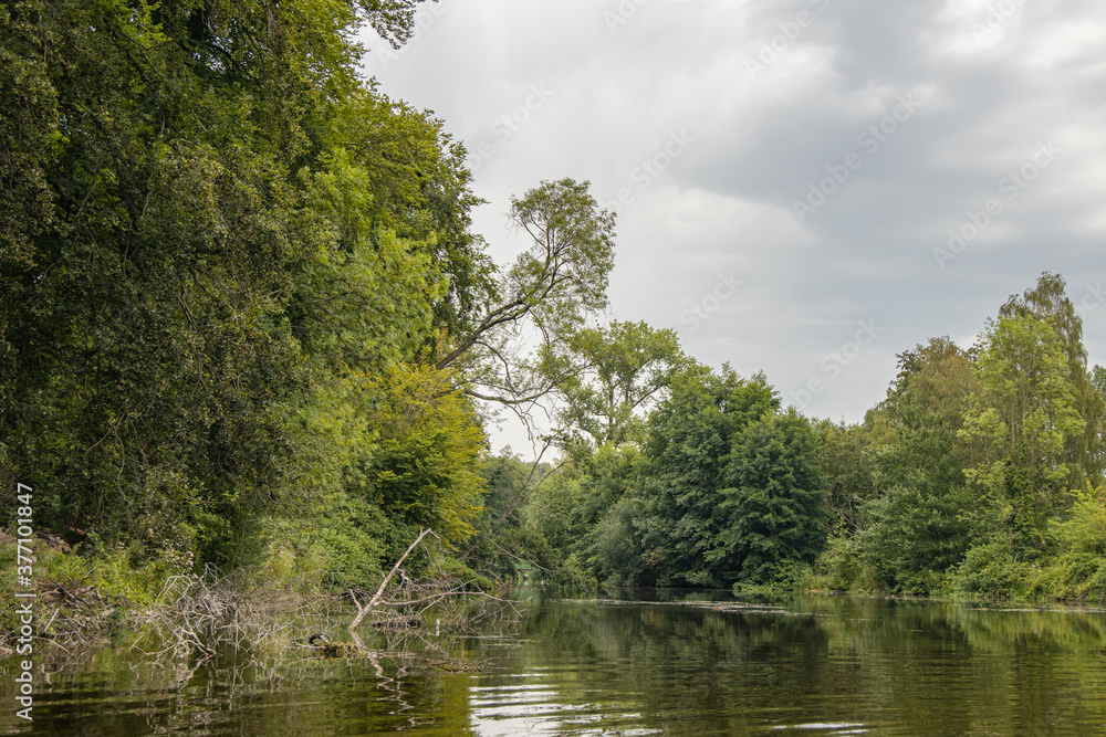 Fototapeta premium nature wallpaper landscape with a small wild river (Stever) in the woods with overcast weather, near by haltern am see, artificial lake or reservoir river