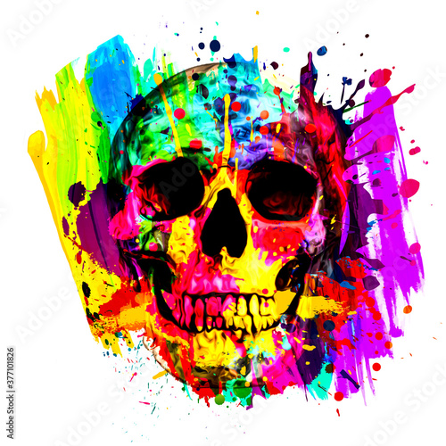 Human skull illustration, g...