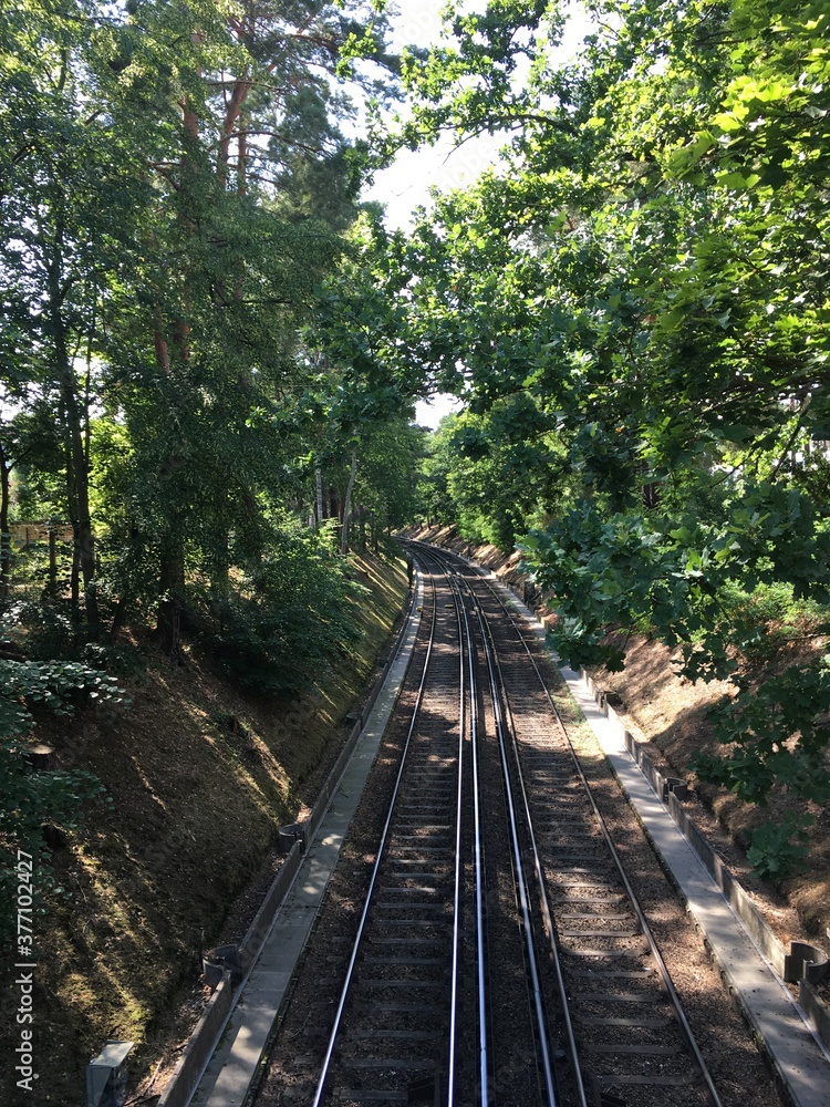 Schienen durch den Wald