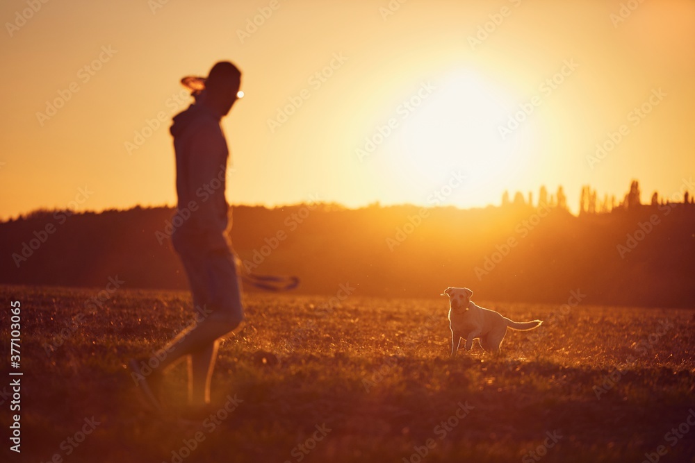 Fototapeta premium Man throwing flying disc for his dog