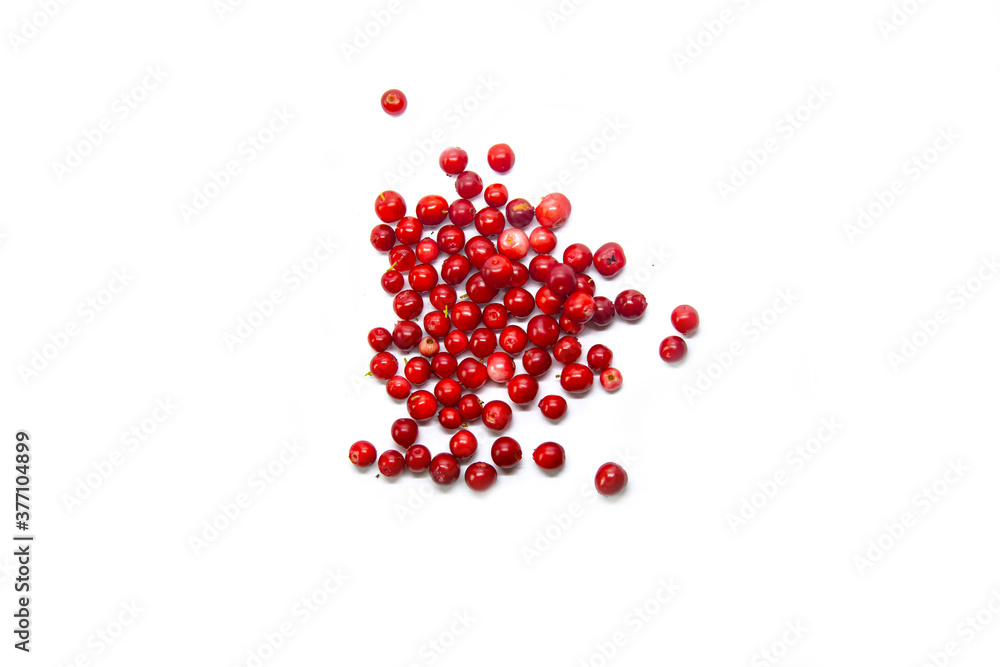 Lingonberry berries on a white background. Lingonberry berries on a white background.