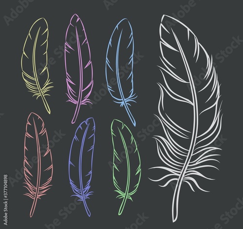 Hand drawn feathers set