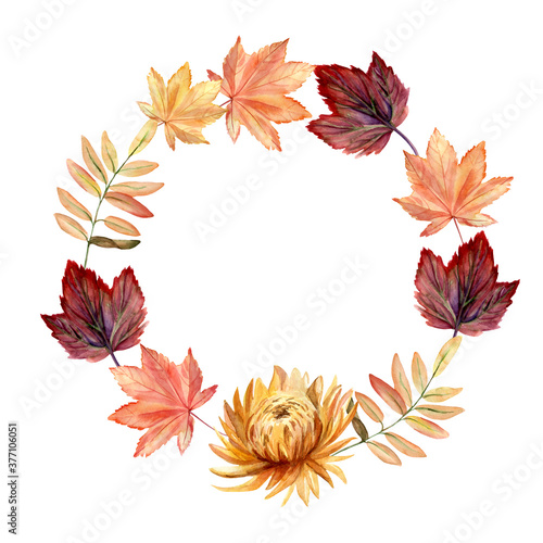 Watercolor hand painted autumn wreath with autumn leaves and chrysanthemum flower. Delicate arrangement is perfect for thanksgiving greeting cards or autumn wedding or party invitations.