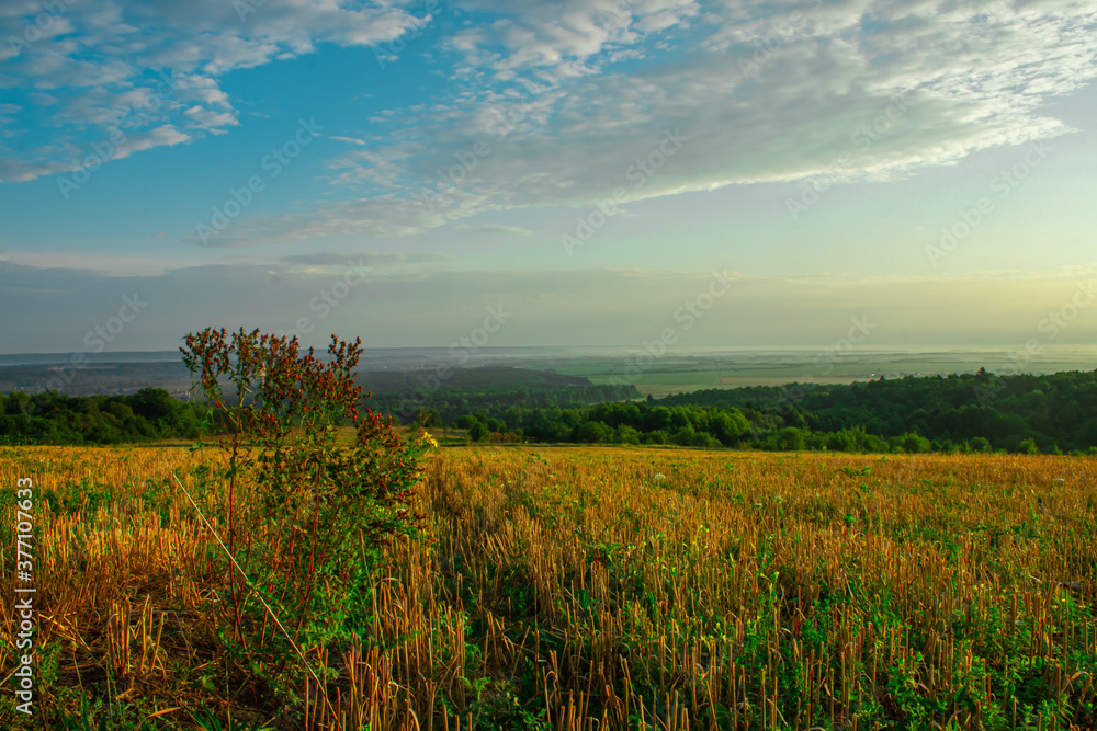 
morning mountain landscape of the Ukrainian Carpathians