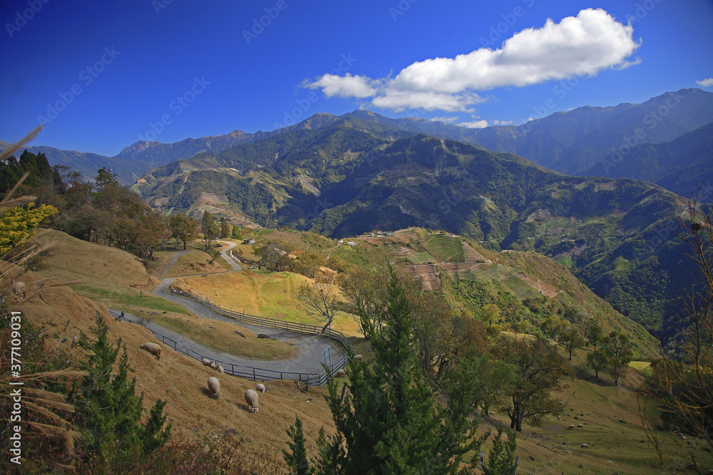 Fototapeta premium Cingjing Farm Nantou Taiwan