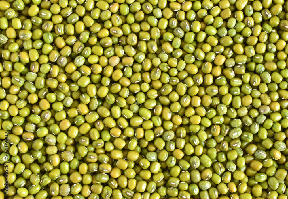 Mung bean seed (Green beans) background , background pattern,Green beans, agricultural products,Top view..