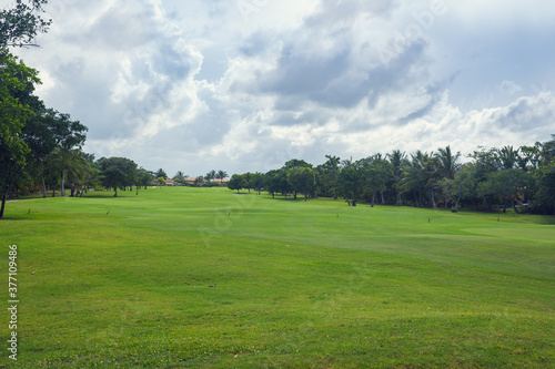 Fototapeta Naklejka Na Ścianę i Meble -  Golf course in Dominican republic. field of grass and coconut palms on Seychelles island.