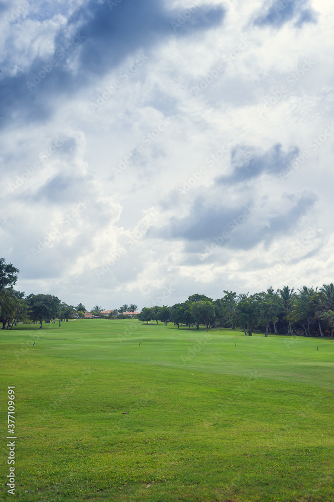 Golf course in Dominican republic. field of grass and coconut palms on Seychelles island. Golf course in Dominican republic. field of grass and coconut palms on Seychelles island.