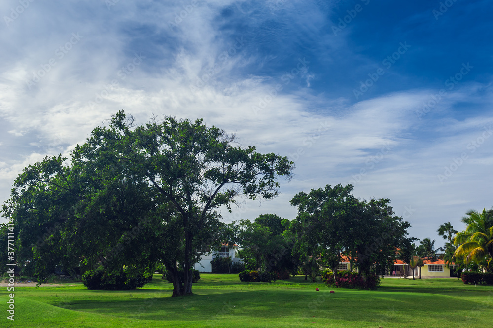 Golf course in Dominican republic. field of grass and coconut palms on Seychelles island. Golf course in Dominican republic. field of grass and coconut palms on Seychelles island.