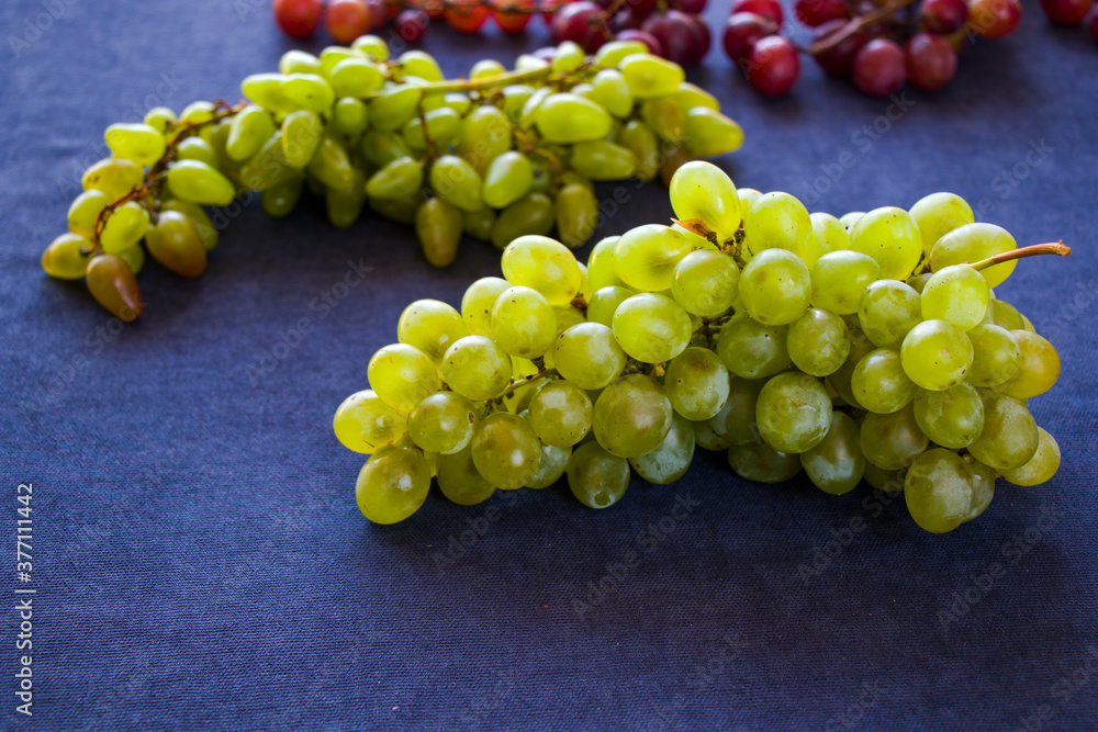 Autumn grapes on the blue background, harvesting Autumn grapes on the blue background, harvesting
