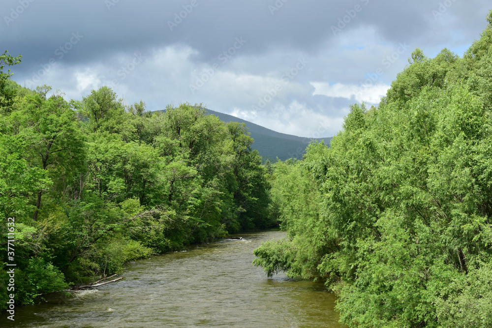 Taiga river. Lush deciduous trees cover the banks. Overcast sky. Taiga river. Lush deciduous trees cover the banks. Overcast sky.