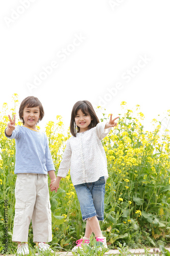 菜の花畑で手を繋ぐ子供