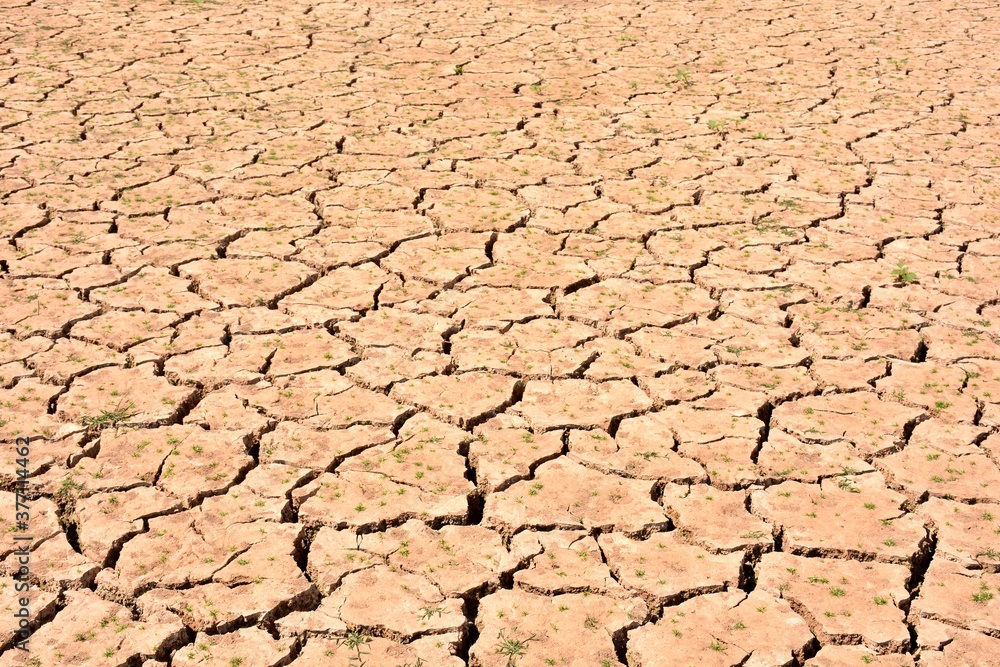 Paisaje con la tierra agrietada debido a la sequía Paisaje con la tierra agrietada debido a la sequía