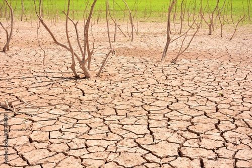 La sequía avanzando con grietas en el suelo, secando las plantas y la hierba