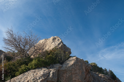 Rocks and tree in the Guara mountains. Huesca. Aragon. Spain.