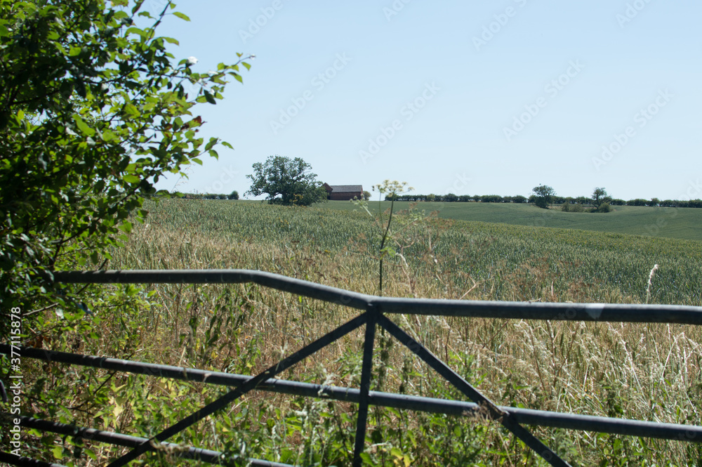 Farmland in Hixon, Staffordshire.
