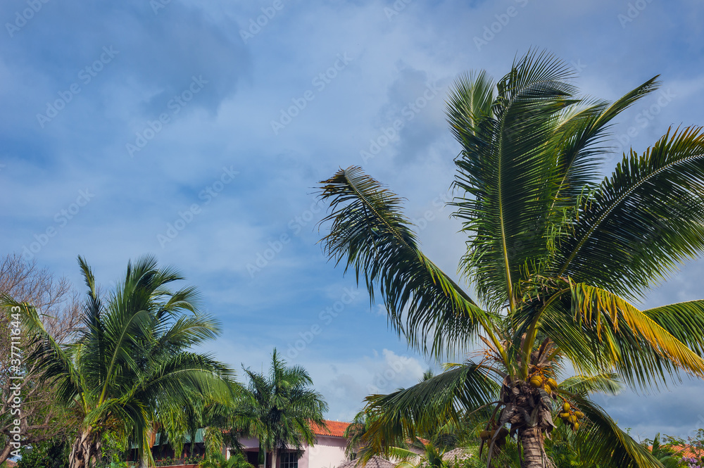Beautiful Luxurious villa with an own swimming pool in Dominican Republic. summer residence on luxury Caribbean resort and beautiful garden. Beautiful Luxurious villa with an own swimming pool in Dominican Republic. summer residence on luxury Caribbean resort and beautiful garden.