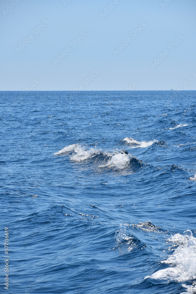 Naklejka premium Seascape with water ripples and clear blue sky