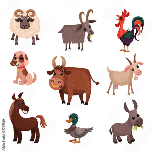 Farm Animals with Horned Bull and Goat Vector Set