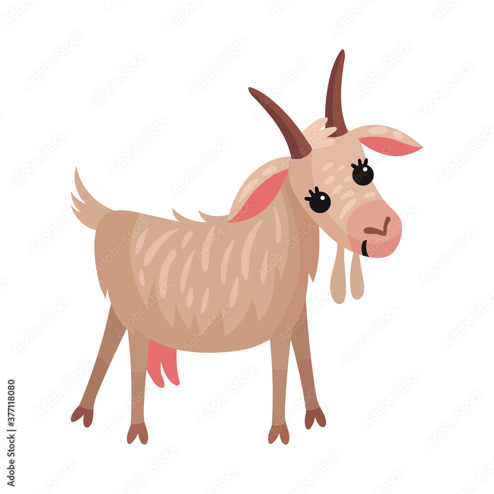 Goat as Farm Animal with Horns Vector Illustration Goat as Farm Animal with Horns Vector Illustration