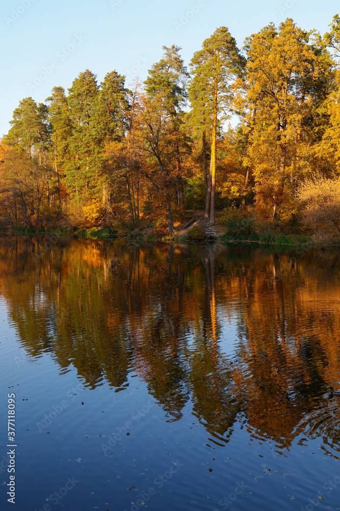 Autumn trees reflection in lake water surface Autumn trees reflection in lake water surface