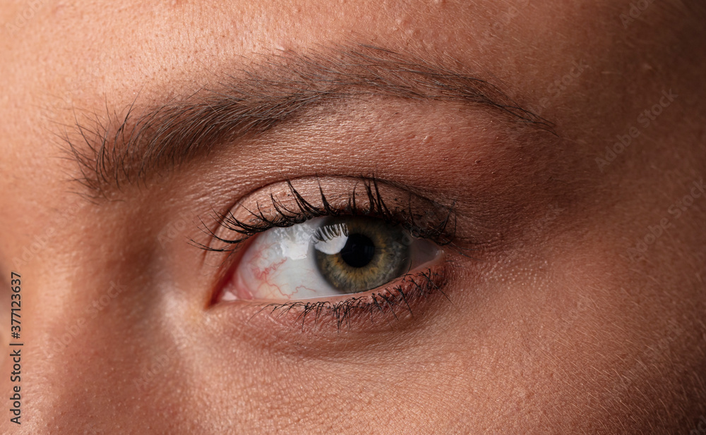 Fototapeta premium portrait of a young woman, shooting in a photo studio