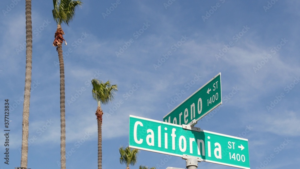 Fototapeta premium California street road sign on crossroad. Lettering on intersection signpost, symbol of summertime travel and vacations. USA tourist destination. Text on nameboard in city near Los Angeles, route 101