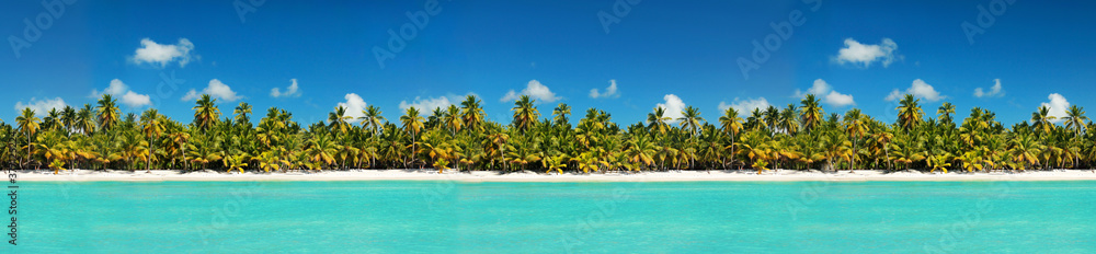 Coastline with coconut palm tree jungle on caribbean beach,  Island Saona. Dominican Republic