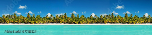 Fototapeta Naklejka Na Ścianę i Meble -  Coastline with coconut palm tree jungle on caribbean beach,  Island Saona. Dominican Republic